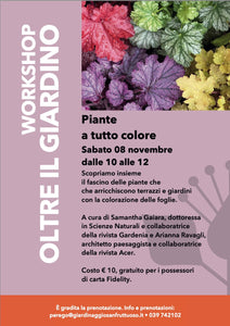 8 NOVEMBRE WORKSHOP- A TUTTO COLORE