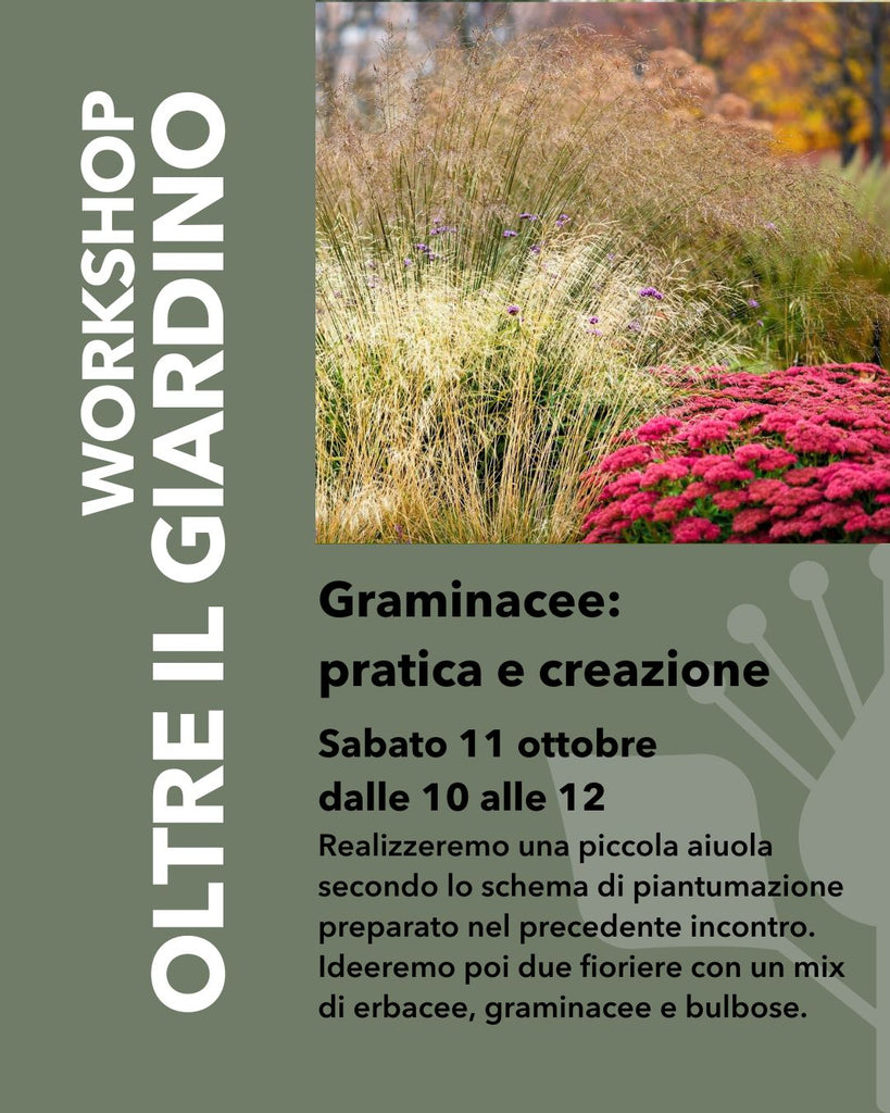 11 OTTOBRE WORKSHOP - GRAMINACEE